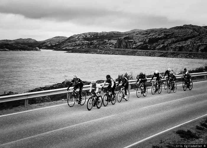 Daire Panorama - Tana